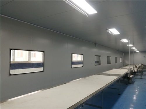 山東濟(jì)南食品廠凈化車(chē)間凈化工程與裝飾裝修施工全解析