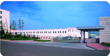 青島京瑞達貿易 以技術研發為引擎，驅動計算機軟硬件業務發展